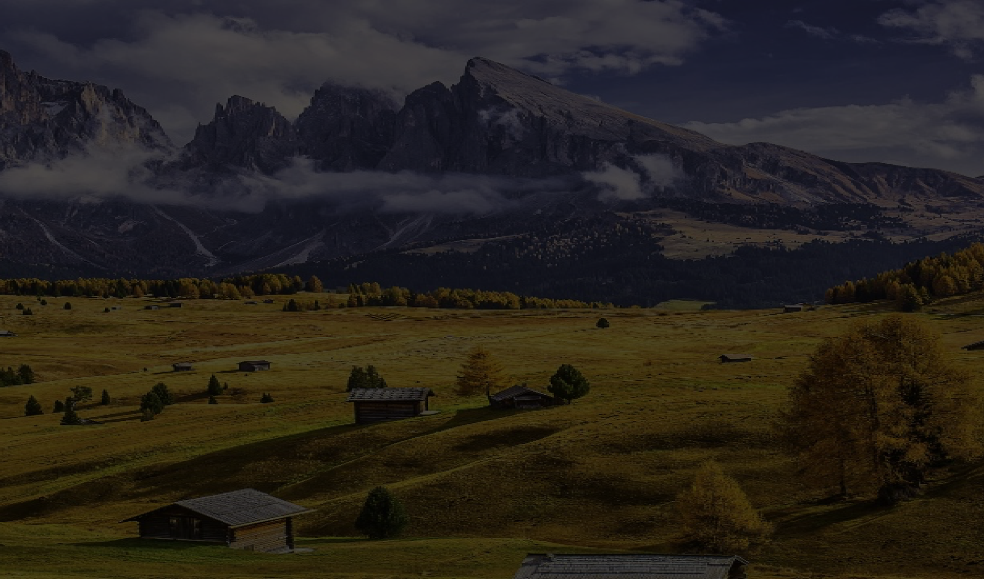 back_fotos_ZTE-Focus